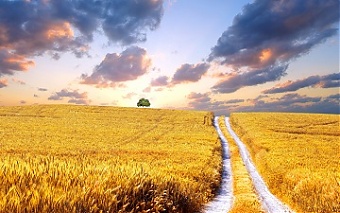200811_ukraine.jpg
