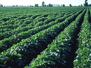 200819_agrolats.jpg