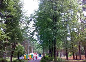 110426_mezapark.jpg