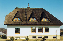 080904_sad_domil_lt.jpg
