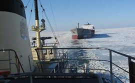 110305_varma_port.jpg